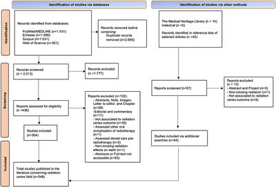 Over 300 Radiation Caries Papers: Reflections From the Rearview Mirror